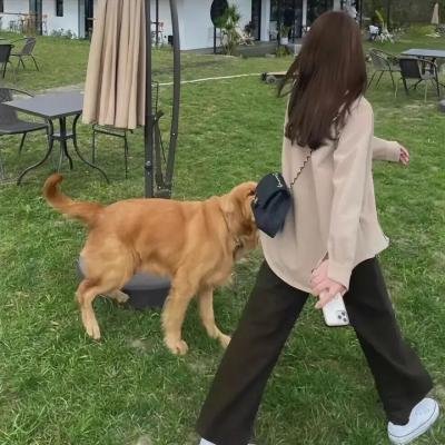 吉姆·亨森：理想之人