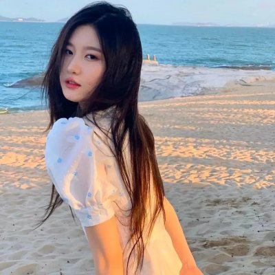 神秘小搭档之变色龙复仇记